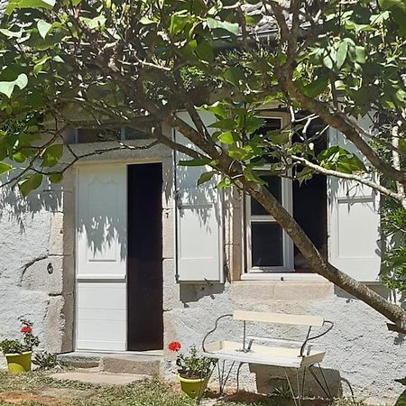 Chez Mialaret Bed & Breakfast Tourniac Dış mekan fotoğraf