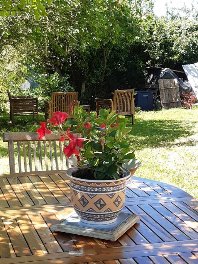 Chez Mialaret Bed & Breakfast Tourniac Dış mekan fotoğraf